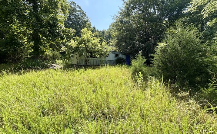 Pictures of Land property located at 456 Geisler Rd, Piney Flats, TN 37686 for sales - image #1