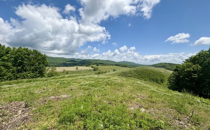 Pictures of Land property located at 0 Horne Hollow Rd Tract B, Sugar Grove, VA 24375 for sales - image #1