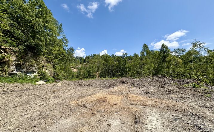 Pictures of Land property located at 00 Sandlick Rd, Saint Charles, VA 24282 for sales - image #1