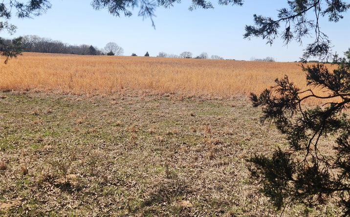 Pictures of Land property located at S Research Road, Lane, OK 74555 for sales - image #1