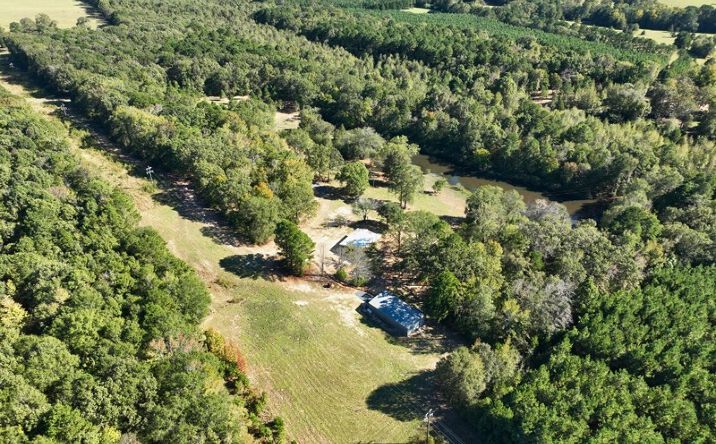 Pictures of Land property located at 562 CR 3439, Atlanta, TX 75551 for sales - image #1