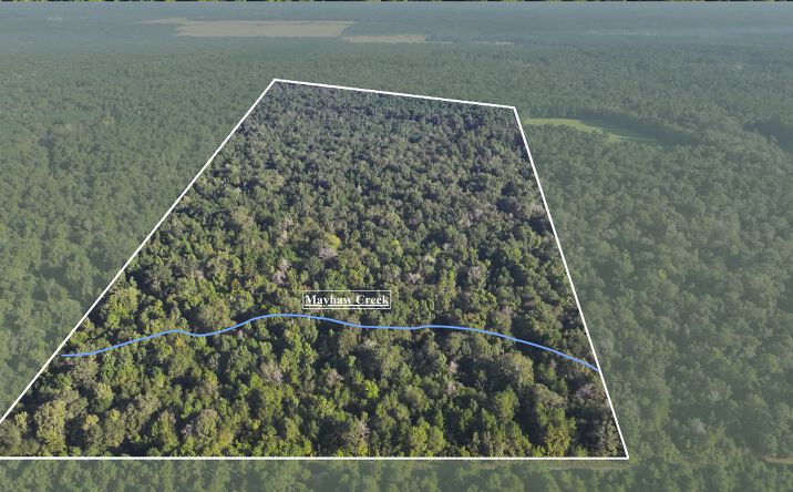 Pictures of Land property located at Co Rd 2041, Hull, TX 77564 for sales - image #1