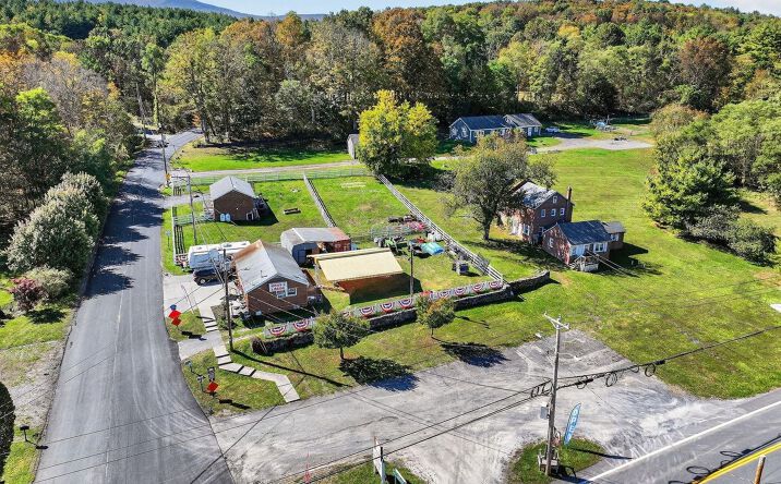 Pictures of Mixed Use, Retail, Land property located at 379 & 391 Route 145, East Durham, NY 12423 for sales - image #1