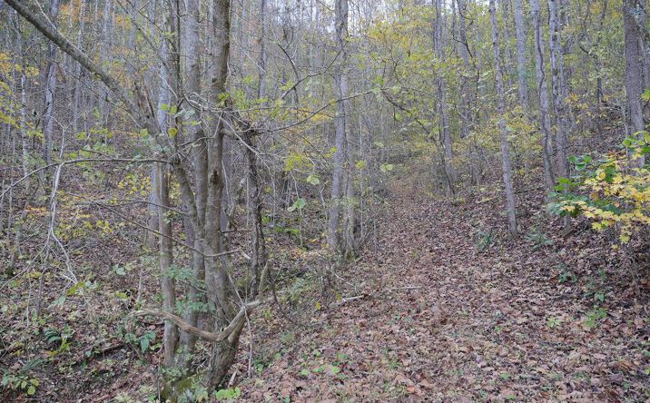 Pictures of Land property located at TBD Highway 58, Bristol, VA 24202 for sales - image #1