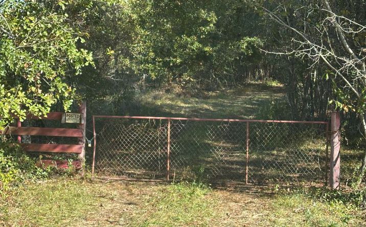 Pictures of Land property located at Buck Creek Road, Sylvania, GA 30467 for sales - image #1