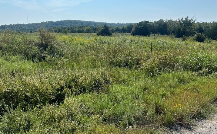 Pictures of Land property located at Old 69, McAlester, OK 74501 for sales - image #1