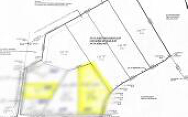 Pictures of Land, Mixed Use, Special Purpose property located at Cemetery Road, Ulmer, SC 29849 for sales - image #1