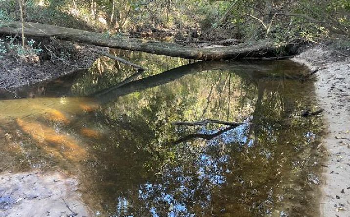 Pictures of Land, Multifamily, Special Purpose property located at 42.56 AC Fords Creek Road, Poplarville, MS 39470 for sales - image #1