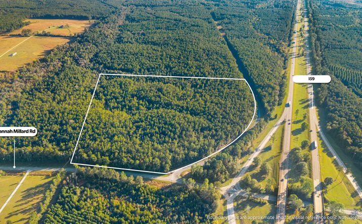 Pictures of Land, Hospitality property located at NHN I59-Savannah Millard Rd, Poplarville, MS 39470 for sales - image #1