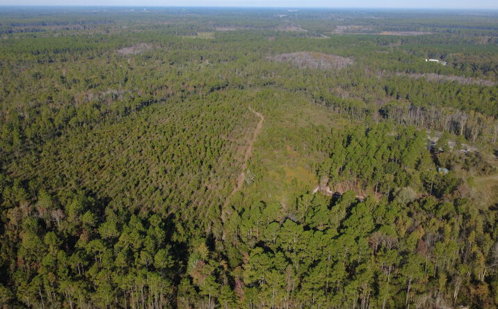 Pictures of Land property located at Fargo Hwy, Homerville, GA 31634 for sales - image #1