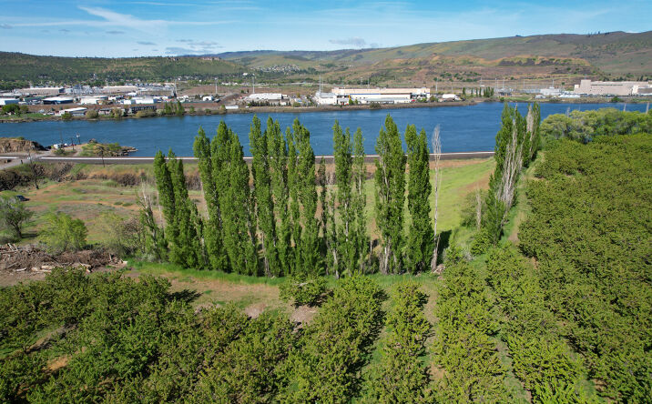 Pictures of Land property located at 715 Garden Lane, Dallesport, WA 98617 for sales - image #1