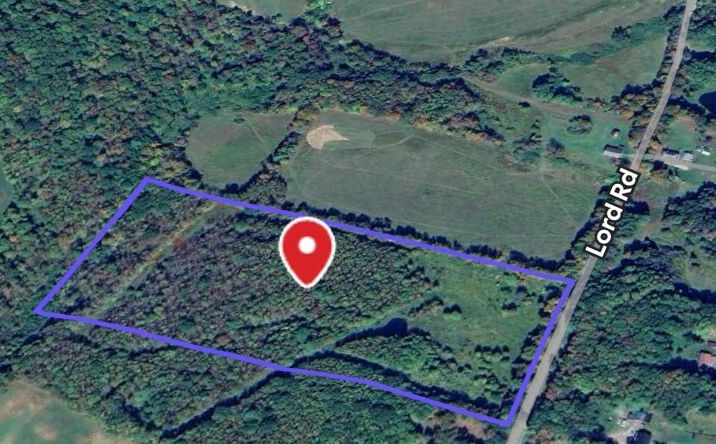Pictures of Land, Special Purpose property located at 94 Lord Road, Sanford, NY 13813 for sales - image #1