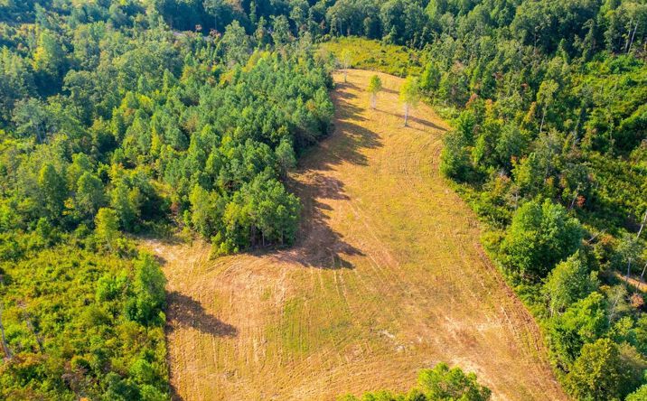 Pictures of Land property located at 0 Kro Hollow Rd Lot 1, Hohenwald, TN 38462 for sales - image #1