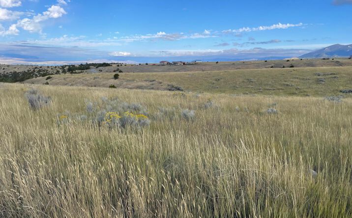 Pictures of Land property located at TBD S Fork Ray Creek Road, Townsend, MT 59644 for sales - image #1