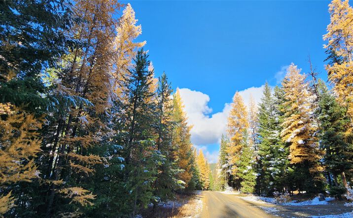 Pictures of Land property located at Lot 8 Tamarack Lane, Rexford, MT 59930 for sales - image #1