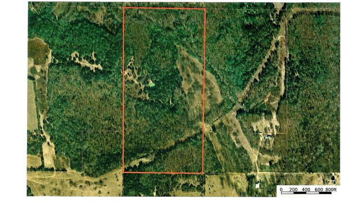 Pictures of Land property located at Tyler Road, Madill, OK 73446 for sales - image #1