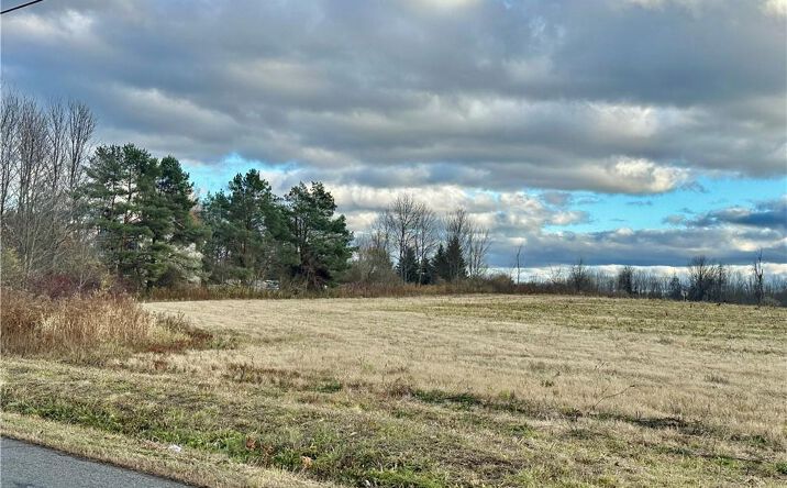 Pictures of Land property located at Eureka Road, Westmoreland, NY 13440 for sales - image #1