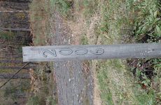 28179450