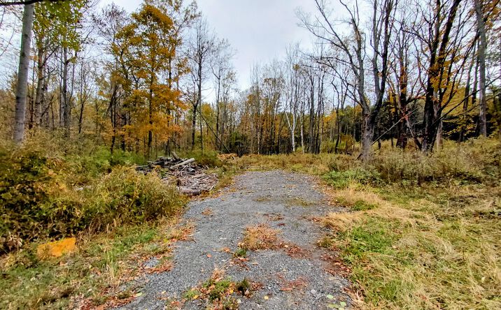Pictures of Land property located at 2006 St Hwy 29A, Gloversville, NY 12078 for sales - image #1