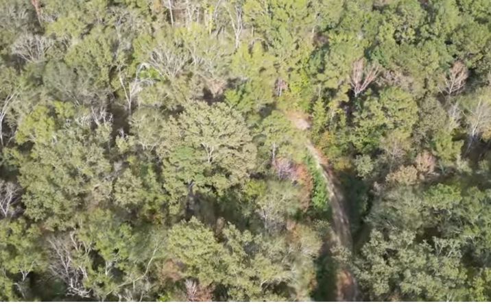 Pictures of Land property located at 0 Coon Hop Road, Hardaway, AL 36039 for sales - image #1