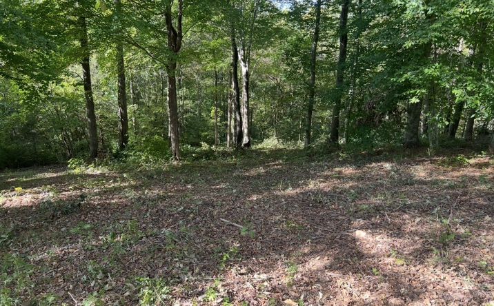 Pictures of Land property located at 165 Overlook Ct, Kingston Springs, TN 37082 for sales - image #1