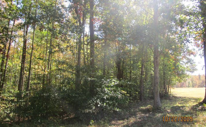 Pictures of Land property located at Pleasant Oak Rd, Victoria, VA 23974 for sales - image #1