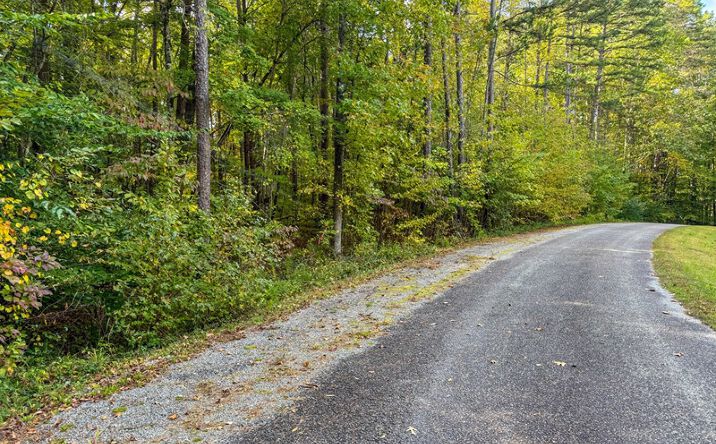 Pictures of Land property located at 470 Cedar Point Dr, Buffalo Junction, VA 24529 for sales - image #1