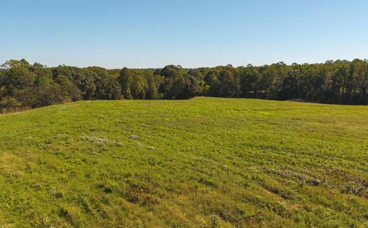 Pictures of Land property located at TBD Mary Lane, Hamptonville, NC 27020 for sales - image #1