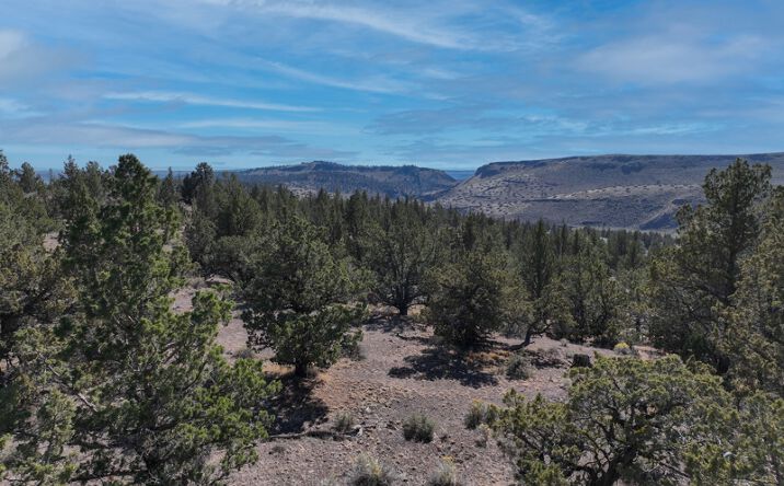 Pictures of Land property located at TL 801 Hines Logging Rd, Hines, OR 97738 for sales - image #1