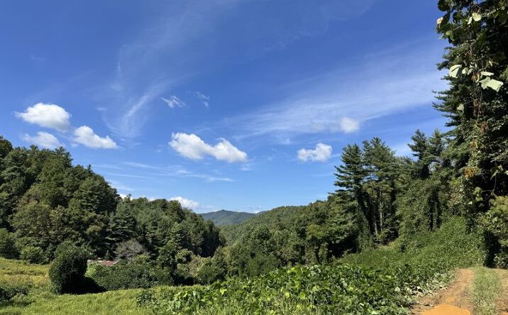 Pictures of Land property located at 2252 Cutshall Town Road, Marshall, NC 28753 for sales - image #1