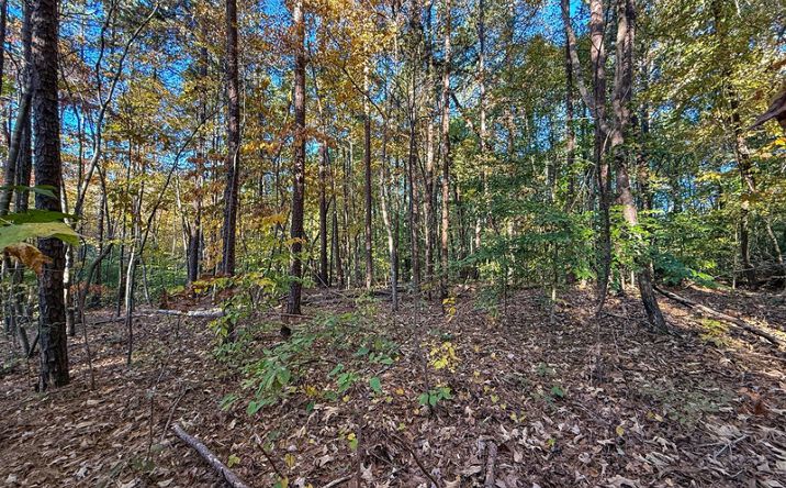 Pictures of Land property located at 245 River View Drive, Buffalo Junction, VA 24529 for sales - image #1