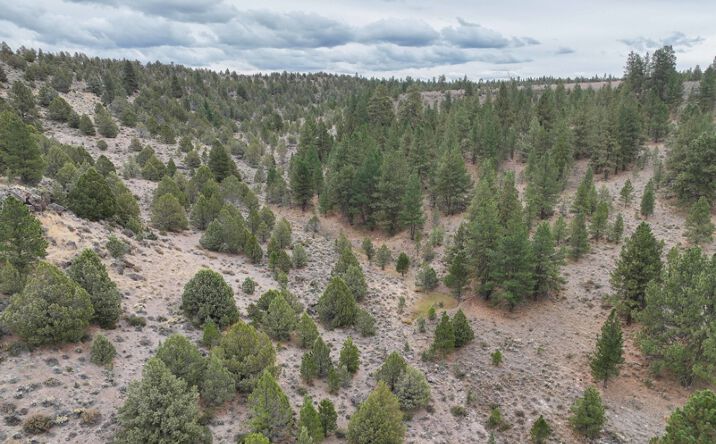Pictures of Land property located at TL 600 Hines Logging Road, Hines, OR 97738 for sales - image #1
