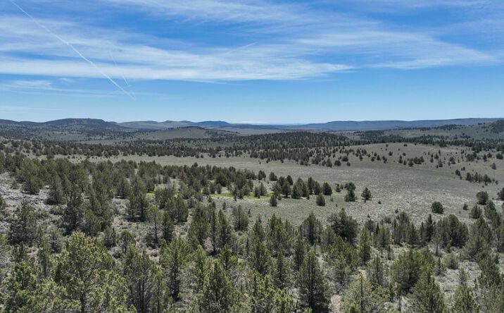 Pictures of Land property located at Tl 1100 Hines Logging Rd, Hines, OR 97738 for sales - image #1