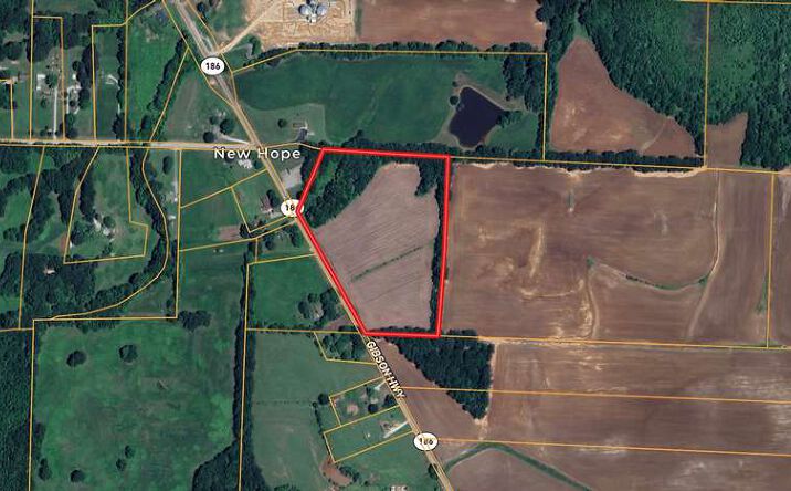Pictures of Land property located at 0 Gibson Highway, Trenton, TN 38382 for sales - image #1