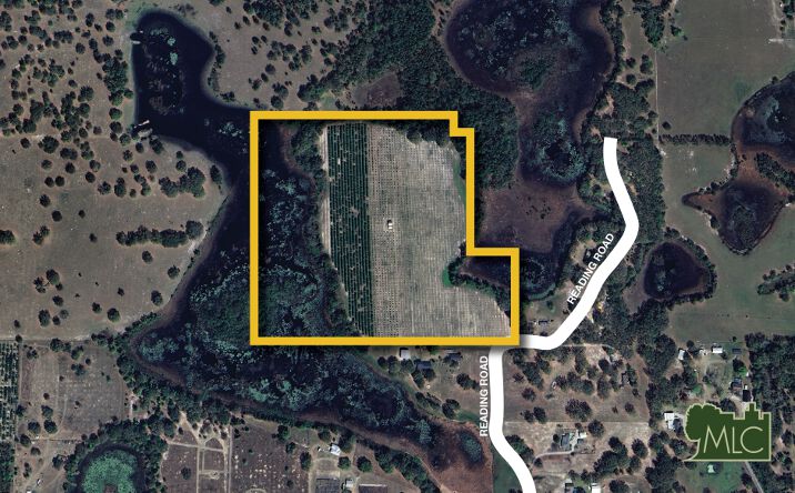 Pictures of Land property located at 23949 Reading Rd, Howey-in-the-Hills, FL 34737 for sales - image #1