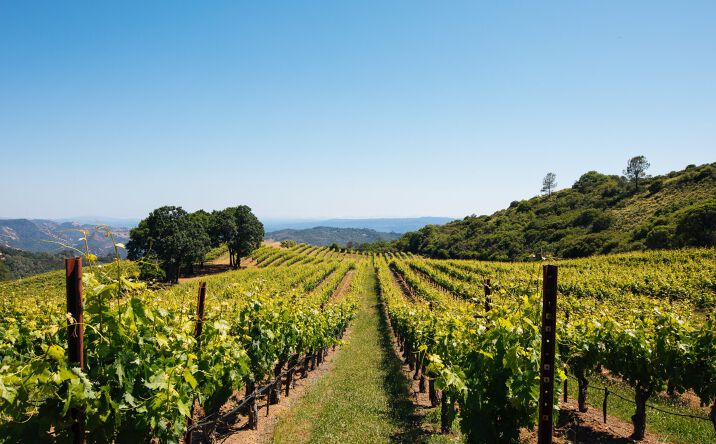 Pictures of Land, Special Purpose property located at 14335 Sonoma Hwy 12, Glen Ellen, CA 95442 for sales - image #1