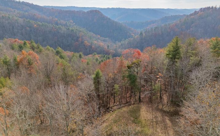 Pictures of Land property located at Tumbling Waters Rd Ne, Copper Hill, VA 24079 for sales - image #1