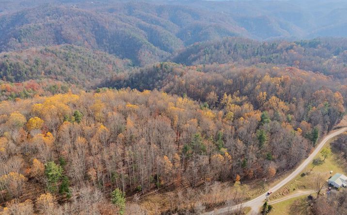 Pictures of Land, Multifamily property located at Autumn Dr Ne, Copper Hill, VA 24079 for sales - image #1