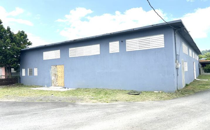 Pictures of Mixed Use property located at Bo Playa Añasco Calle Robles, Anasco, Puerto Rico 00610 for sales - image #1