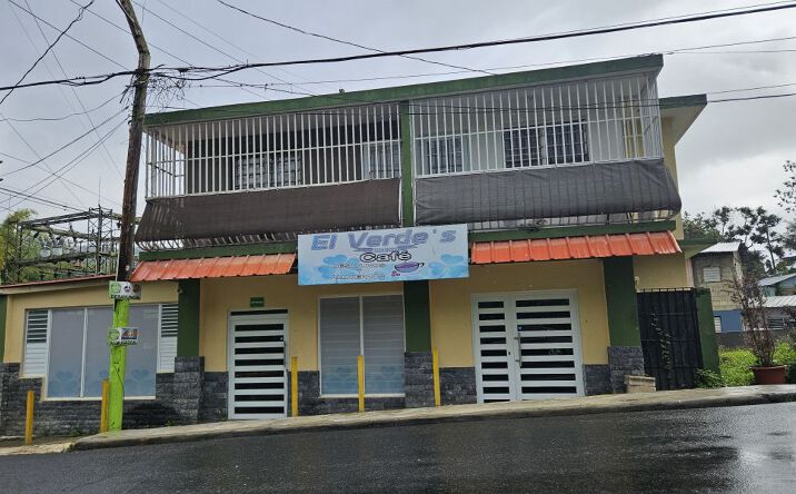 Pictures of Mixed Use property located at Carr 794 Km 0.0 Bo Caguitas, Aguas Buenas, Puerto Rico 00703 for sales - image #1