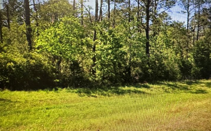 Pictures of Land property located at US Highway 171, Lake Charles, LA 70611 for sales - image #1