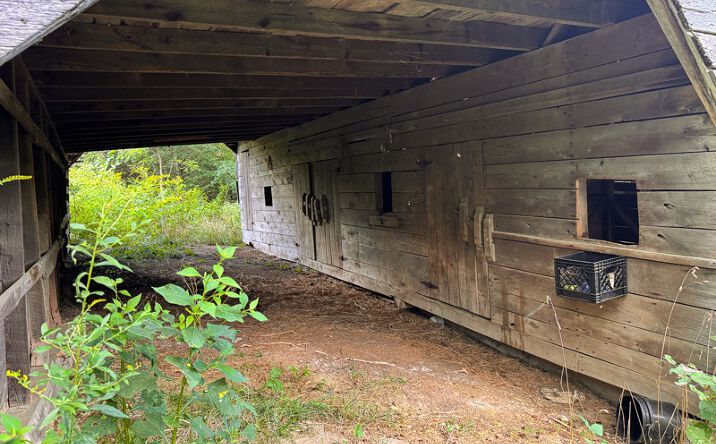 Pictures of Land property located at 3341 Stoney Fork Rd, Sneedville, TN 37869 for sales - image #1
