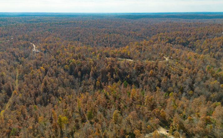 Pictures of Land property located at 15682 Winding Trail, Birch Tree, MO 65438 for sales - image #1