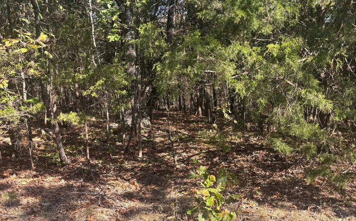 Pictures of Land property located at 2 MO-72, Fredericktown, MO 63645 for sales - image #1