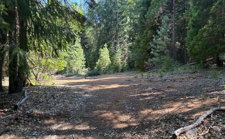 Pictures of Land property located at Castle Lake Rd, Castella, CA 96017 for sales - image #1