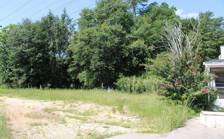 Pictures of Land, Mixed Use property located at 1960 & 1980 Peach Orchard Road, Sumter, SC 29154 for sales - image #1