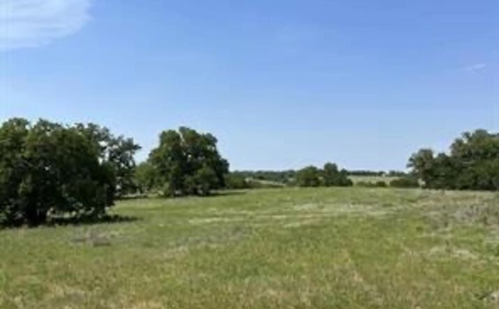 Pictures of Land property located at 315 Kilkenny Rd, Poolville, TX 76487 for sales - image #1