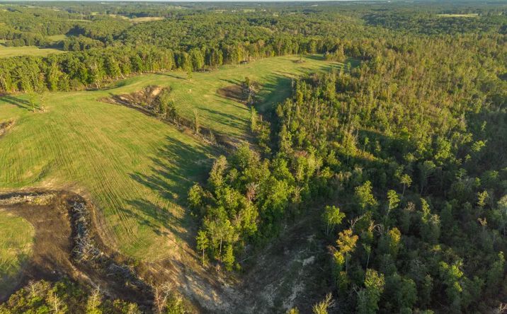 Pictures of Land property located at 000 Dixon Road, Licking, MO 65542 for sales - image #1
