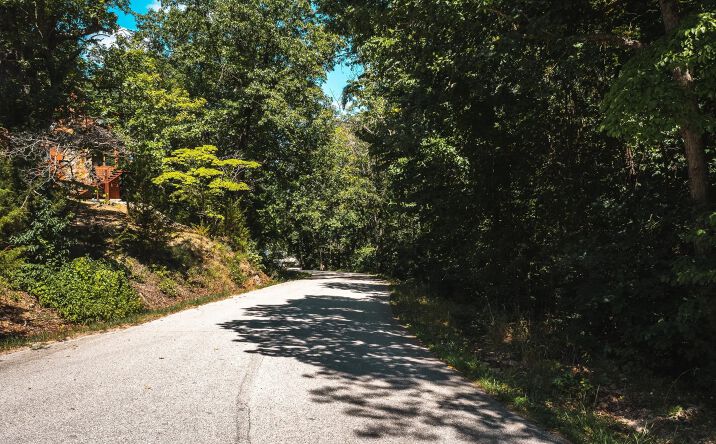 Pictures of Land property located at Lake Road AA109, Roach, MO 65787 for sales - image #1