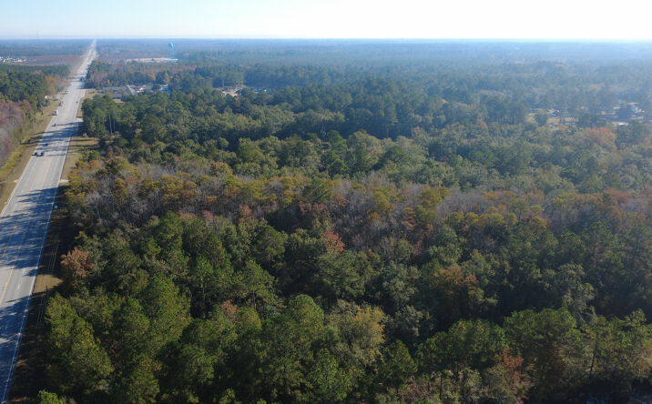 Pictures of Land property located at 0 E Cypress St, Ludowici, GA 31316 for sales - image #1